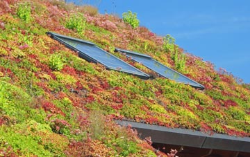 Barking Tye living roof systems
