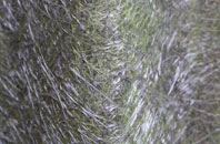 Barking Tye fibreglass roof work